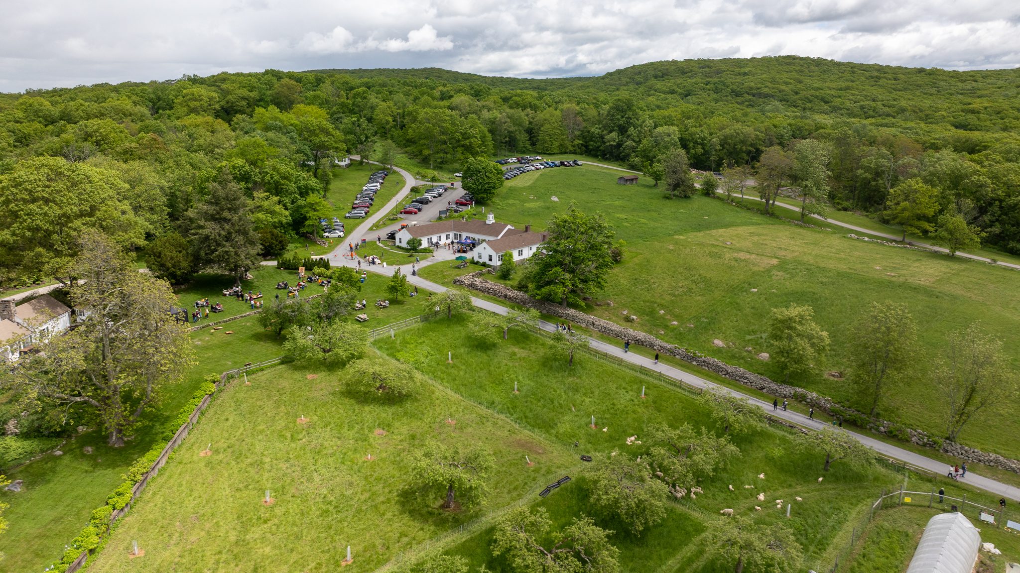 Stone walls and fenced paddocks run down the hill toward the farm buildings.